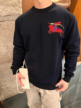 Свитшоты И Худи Мужские Burberry 4379176