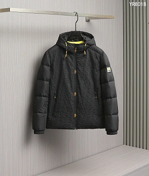 Куртки И Пуховики Мужские Fendi 657784