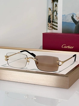 Очки Cartier 361716