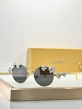Очки Loewe 147262