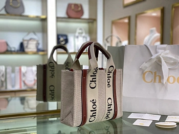 Классические Сумки Женские Chloe 549809