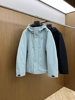 Куртки И Пуховики Мужские Louis Vuitton 775406