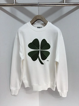 Свитшоты И Худи Мужские Christian Dior 1941445