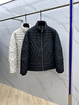 Куртки И Пуховики Мужские Louis Vuitton 846071