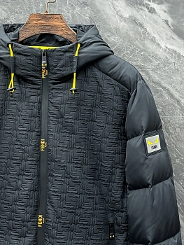Куртки И Пуховики Мужские Fendi 5023430