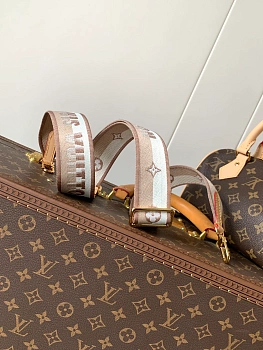 Сумки На Ремне Женские Louis Vuitton 11394872