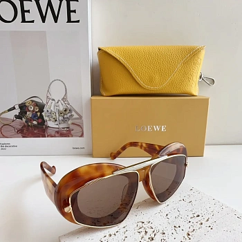 Очки Loewe 25047