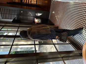 Классические Сумки Женские Bottega Veneta 381179