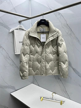 Куртки И Пуховики Мужские Christian Dior 2237542