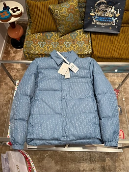 Куртки И Пуховики Мужские Christian Dior 608647