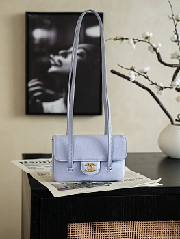 Классические Сумки Женские Chanel 12605799