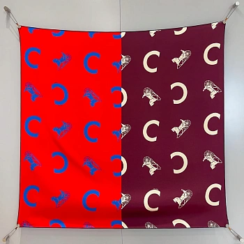 Платки Celine 11613555