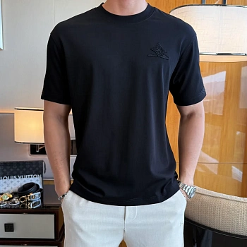 Футболки Мужские Louis Vuitton 13538137