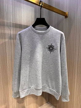 Свитшоты И Худи Мужские Christian Dior 1490959