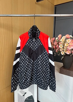 Куртки И Пуховики Мужские Louis Vuitton 83057