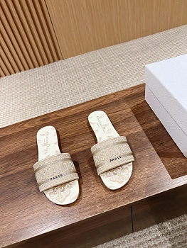 Шлепанцы Женские Christian Dior 11600032