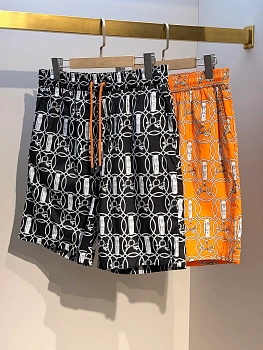 Шорты Мужские Hermes 11497114