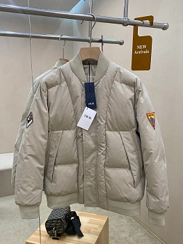 Куртки И Пуховики Мужские Christian Dior 1433847