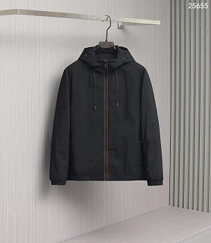 Куртки И Пуховики Мужские Zegna 742300