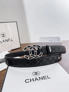 Поясные Сумки Женские Chanel 11394928