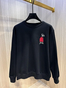 Свитшоты И Худи Мужские Moncler 1848347