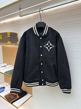 Куртки И Пуховики Мужские Louis Vuitton 852215