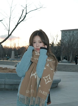 Шарфы Louis Vuitton 5893