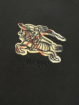 Футболки Мужские Burberry 1569244