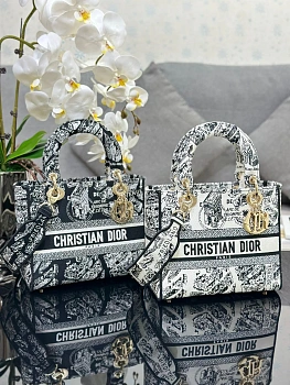 Сумки На Ремне Женские Christian Dior 118187