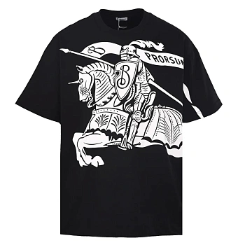 Футболки Мужские Burberry 13381303