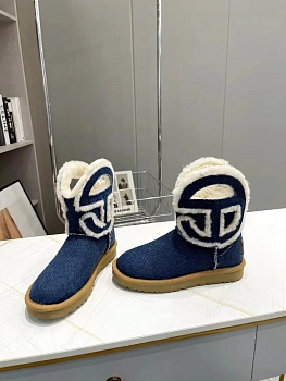 Угги Женские Ugg 197872