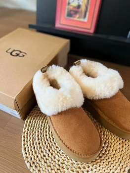 Угги Женские Ugg 5602677