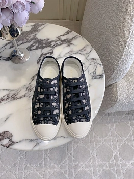 Кеды Женские Christian Dior 13070840