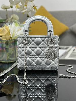 Классические Сумки Женские Christian Dior 11412557