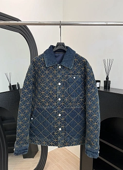 Куртки И Пуховики Мужские Louis Vuitton 438325