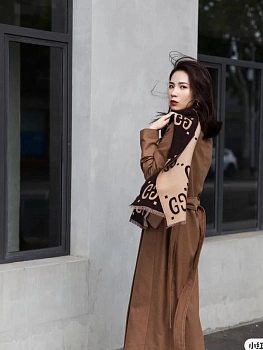 Шарфы Gucci 4000