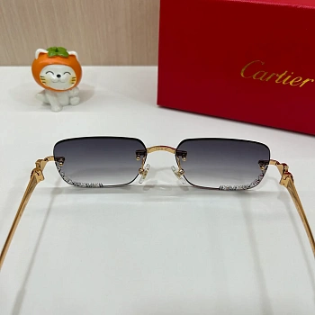 Очки Cartier 11689393