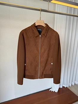 Куртки И Пуховики Мужские Zegna 932306