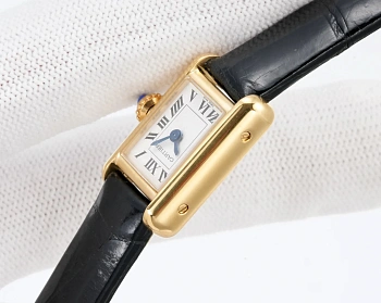 Часы Женские Cartier 5075846