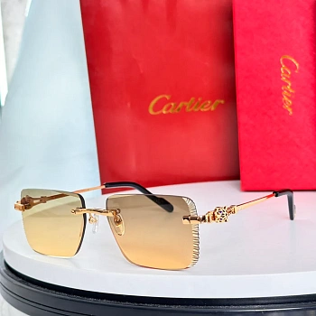 Очки Cartier 231766