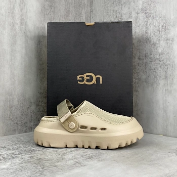 Тапочки Женские Ugg 599464
