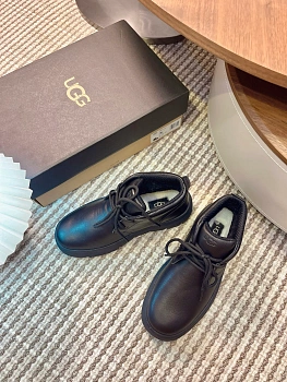 Ботинки Мужские Ugg 197623