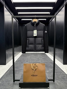 Куртки И Пуховики Мужские Burberry 250537