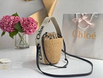 Сумки На Ремне Женские Chloe 27497