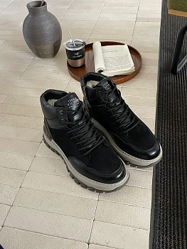 Ботинки Мужские Ugg 230784