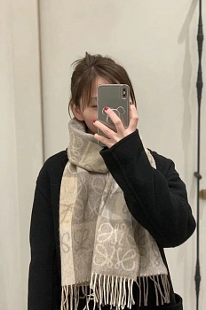 Шарфы Loewe 1863