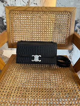 Классические Сумки Женские Celine 12849471