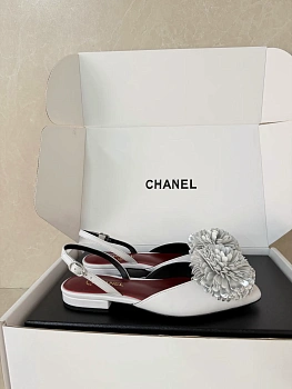 Туфли Женские Chanel 1281984