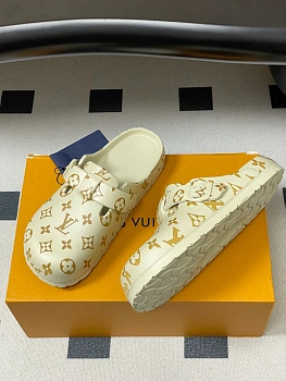 Шлепанцы Женские Louis Vuitton 11579017