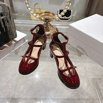 Туфли Женские Christian Dior 623970